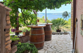 Pet Friendly Apartment In Novigrad With Wifi
